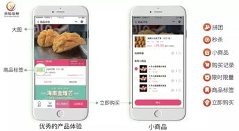 水產(chǎn)行業(yè)協(xié)會(huì)如何利用社區(qū)團(tuán)購系統(tǒng)與互聯(lián)網(wǎng)信息服務(wù)提升會(huì)員商家銷量
